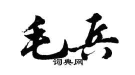 胡問遂毛兵行書個性簽名怎么寫