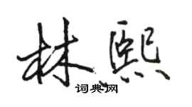 駱恆光林熙行書個性簽名怎么寫