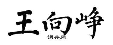 翁闓運王向崢楷書個性簽名怎么寫