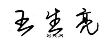 朱錫榮王生亮草書個性簽名怎么寫