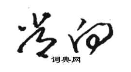 駱恆光常向草書個性簽名怎么寫