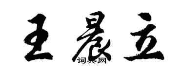 胡問遂王晨立行書個性簽名怎么寫