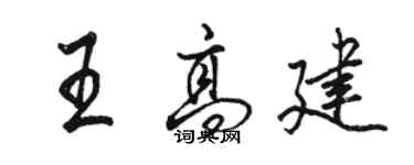 駱恆光王高建行書個性簽名怎么寫