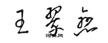 駱恆光王翠戀草書個性簽名怎么寫