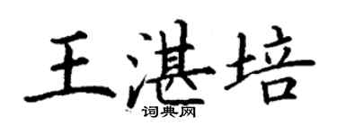 丁謙王湛培楷書個性簽名怎么寫