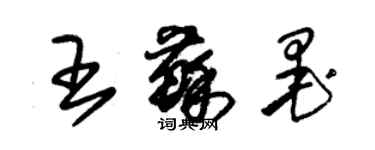 朱錫榮王蘇墨草書個性簽名怎么寫