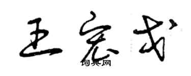 曾慶福王宏戈草書個性簽名怎么寫