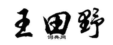胡問遂王田野行書個性簽名怎么寫