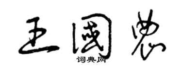 曾慶福王國農草書個性簽名怎么寫