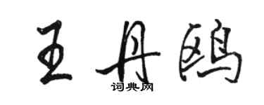 駱恆光王丹鷗行書個性簽名怎么寫