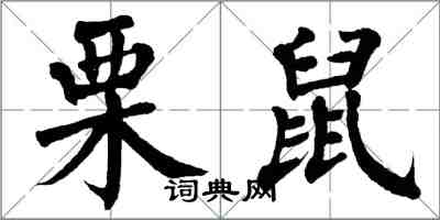 翁闓運栗鼠楷書怎么寫