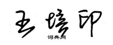 朱錫榮王培印草書個性簽名怎么寫