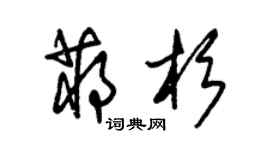 朱錫榮蔣杉草書個性簽名怎么寫