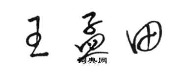 駱恆光王孟田草書個性簽名怎么寫