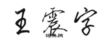 駱恆光王震字行書個性簽名怎么寫