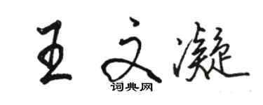 駱恆光王文凝行書個性簽名怎么寫