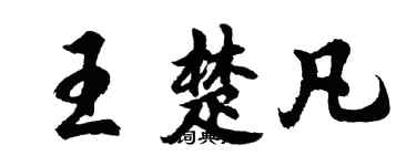 胡問遂王楚凡行書個性簽名怎么寫