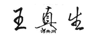 駱恆光王真生行書個性簽名怎么寫