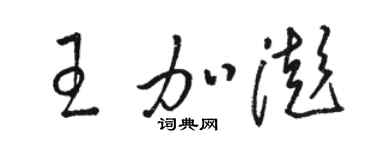 駱恆光王加澎草書個性簽名怎么寫