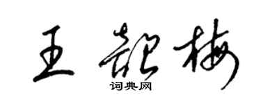 梁錦英王韶梅草書個性簽名怎么寫