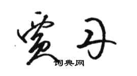 駱恆光賈丹草書個性簽名怎么寫