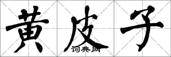 翁闓運黃皮子楷書怎么寫