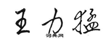 駱恆光王力猛行書個性簽名怎么寫