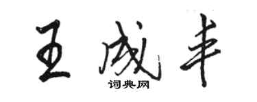 駱恆光王成豐行書個性簽名怎么寫