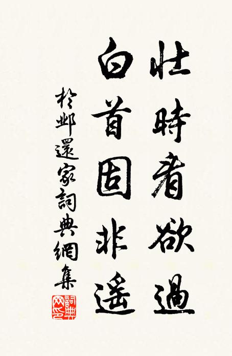 與史君、酌酒酹興亡，澆今昔 詩詞名句