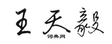 駱恆光王天毅行書個性簽名怎么寫