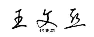 梁錦英王文亞草書個性簽名怎么寫