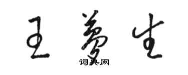 駱恆光王夢生草書個性簽名怎么寫