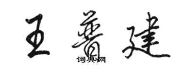駱恆光王普建行書個性簽名怎么寫