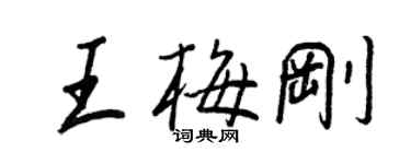 王正良王梅剛行書個性簽名怎么寫