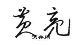 駱恆光黃亮草書個性簽名怎么寫