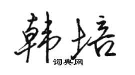 駱恆光韓培行書個性簽名怎么寫