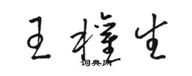 駱恆光王權生草書個性簽名怎么寫