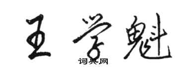 駱恆光王學魁行書個性簽名怎么寫