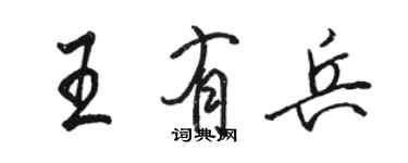 駱恆光王有兵行書個性簽名怎么寫