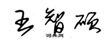 朱錫榮王智碩草書個性簽名怎么寫