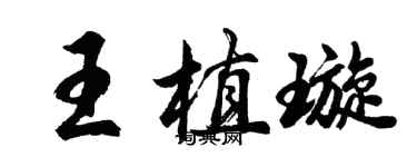 胡問遂王植璇行書個性簽名怎么寫