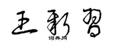 曾慶福王新習草書個性簽名怎么寫