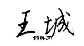 王正良王城行書個性簽名怎么寫