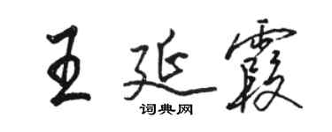 駱恆光王延霞行書個性簽名怎么寫