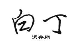 駱恆光白丁行書個性簽名怎么寫