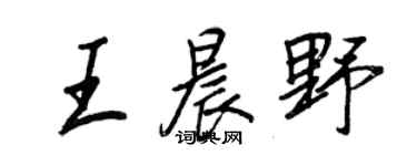 王正良王晨野行書個性簽名怎么寫