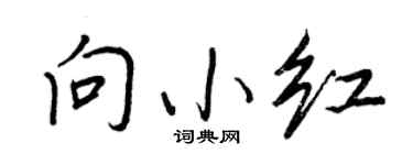 王正良向小紅行書個性簽名怎么寫