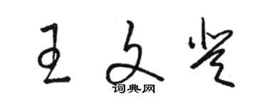 駱恆光王文登草書個性簽名怎么寫