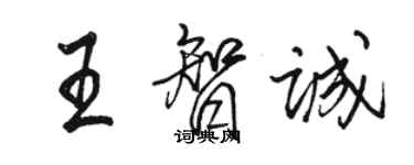 駱恆光王智誠行書個性簽名怎么寫