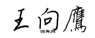 王正良王向鷹行書個性簽名怎么寫